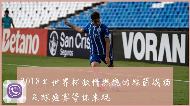 2018年世界杯激情燃烧的绿茵战场，足球盛宴等你来观