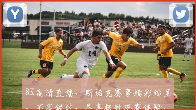 8K高清直播，斯诺克赛事精彩纷呈，不容错过，尽享极致观赛体验，三重惊喜等你来