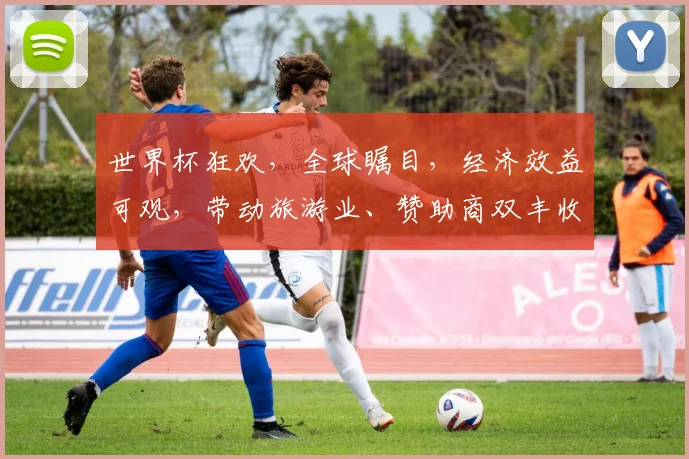 世界杯狂欢，全球瞩目，经济效益可观，带动旅游业、赞助商双丰收，商机无限。
