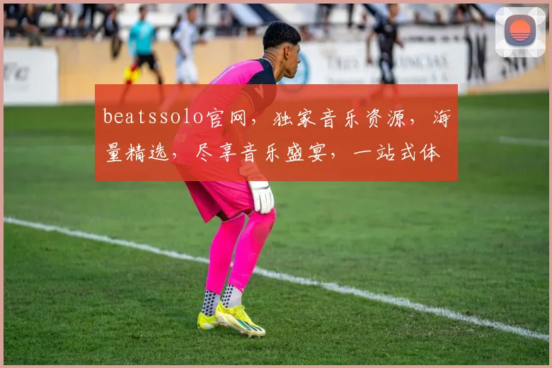 beatssolo官网，独家音乐资源，海量精选，尽享音乐盛宴，一站式体验，不容错过